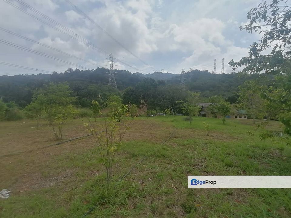 4.66 Acre Freehold NON BUMI Agriculture Land Jende, Selangor, Sepang