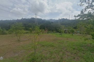 4.66 Acre Freehold NON BUMI Agriculture Land Jende