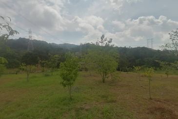 4.66 Acre Freehold NON BUMI Agriculture Land Jende
