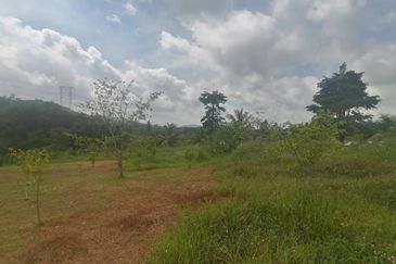 4.66 Acre Freehold NON BUMI Agriculture Land Jende