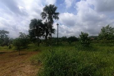 4.66 Acre Freehold NON BUMI Agriculture Land Jende