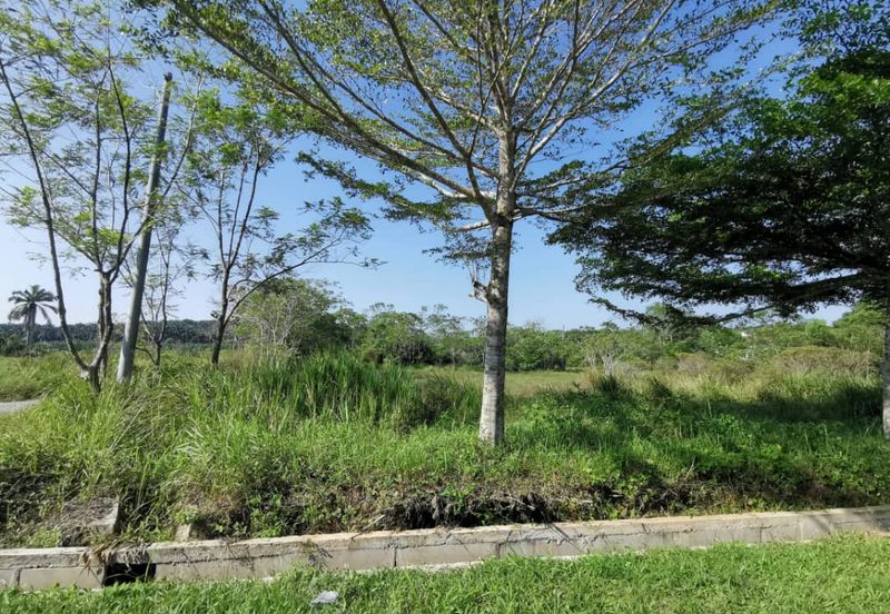 Agri Land 1.48 Acre, Non Bumi Lot Kundang Easy Acc