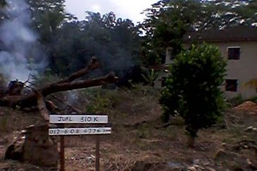 Lot Banglo geran individu 5000sqft di Serendah,Hul