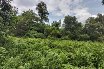 2 Acre Non Bumi  Agri Land Zoning Residential at Saujana Rawang