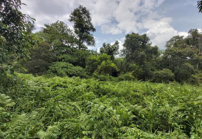 2 Acre Non Bumi  Agri Land Zoning Residential at Saujana Rawang