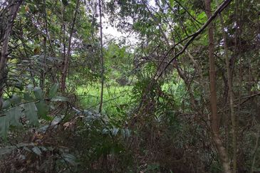 2 Acre Non Bumi  Agri Land Zoning Residential at Saujana Rawang