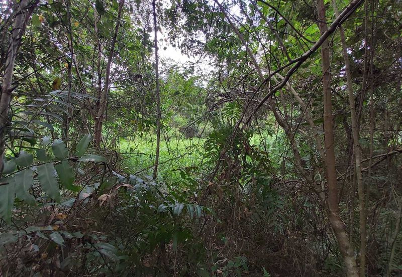 2 Acre Non Bumi  Agri Land Zoning Residential at Saujana Rawang