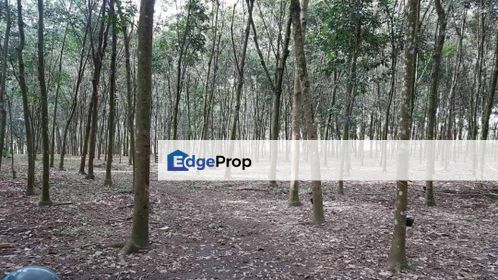 Non Bumi Lot Freehold Kampung Sentosa, Batang Kali 6.8 Ekar, Selangor, Hulu Selangor
