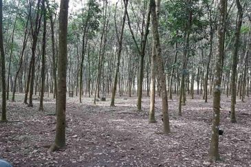 Non Bumi Lot Freehold Kampung Sentosa, Batang Kali 6.8 Ekar