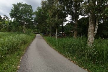 Non Bumi Lot Freehold Kampung Sentosa, Batang Kali 6.8 Ekar
