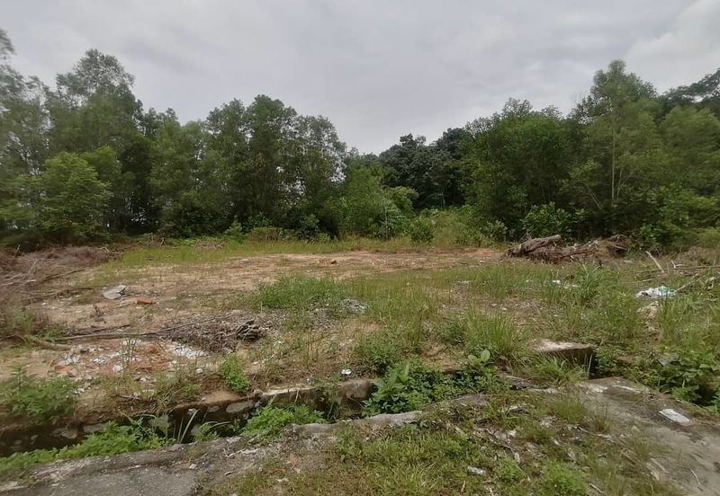 8 Acre Freehold Non Bumi Agriculture Land Behind SJKC Batang Kali