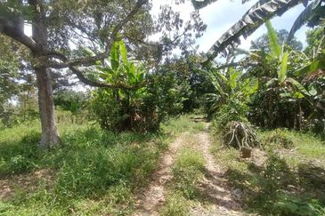 Road Frontage Freehold Non Bumi 6.5 acre Kg Kalong Hilir,Batang Kali