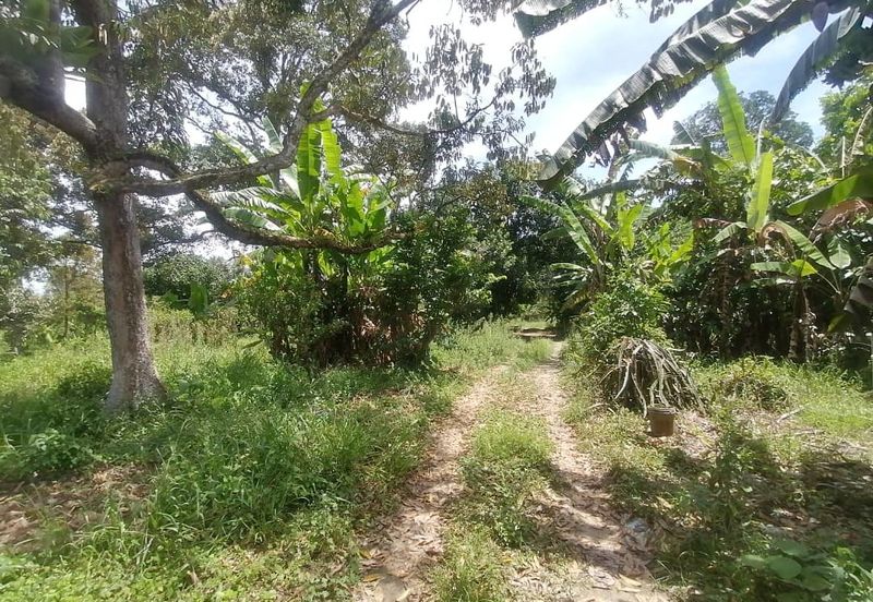 Road Frontage Freehold Non Bumi 6.5 acre Kg Kalong Hilir,Batang Kali
