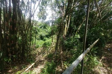 Main Road Frontage Jalan Genting Batang Kali 3 Acre Non Bumi Freehold