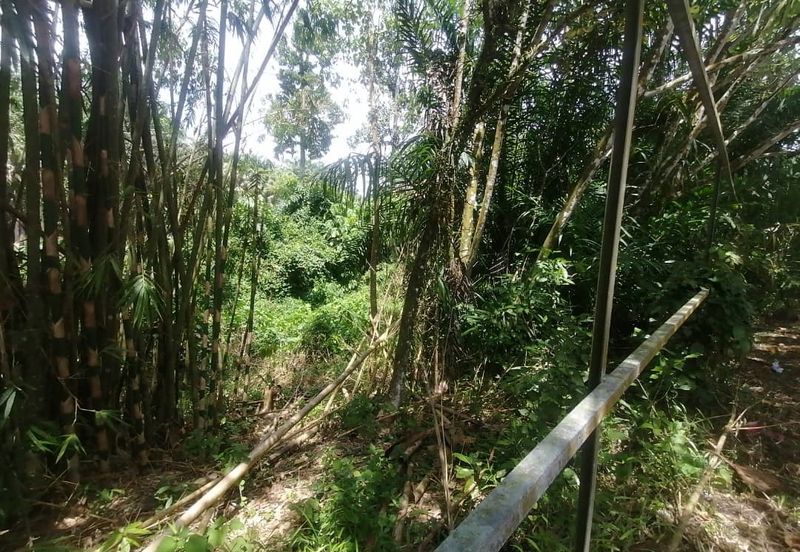 Main Road Frontage Jalan Genting Batang Kali 3 Acre Non Bumi Freehold