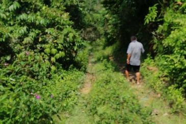 5 Ac Freehold Non Bumi Agri Land 170k Per Acre