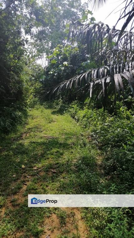 5 Ac Freehold Non Bumi Agri Land 170k Per Acre, Selangor, Rasa