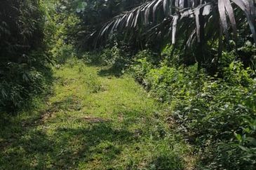 5 Ac Freehold Non Bumi Agri Land 170k Per Acre