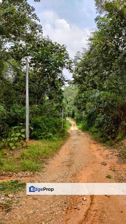 Sg Gumut Kalumpang 6 acre Freehold Non Bumi Lot, Selangor, Hulu Selangor