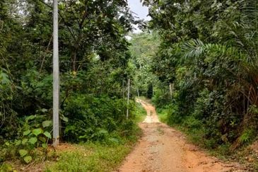 Sg Gumut Kalumpang 6 acre Freehold Non Bumi Lot