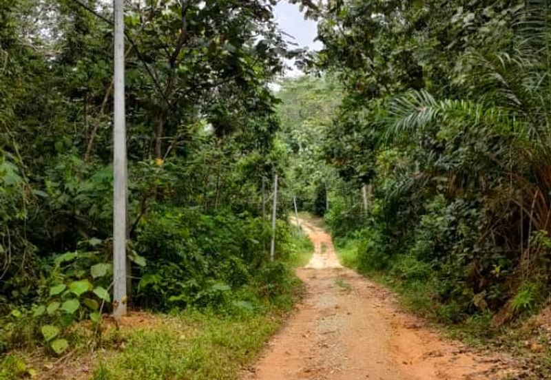 Sg Gumut Kalumpang 6 acre Freehold Non Bumi Lot