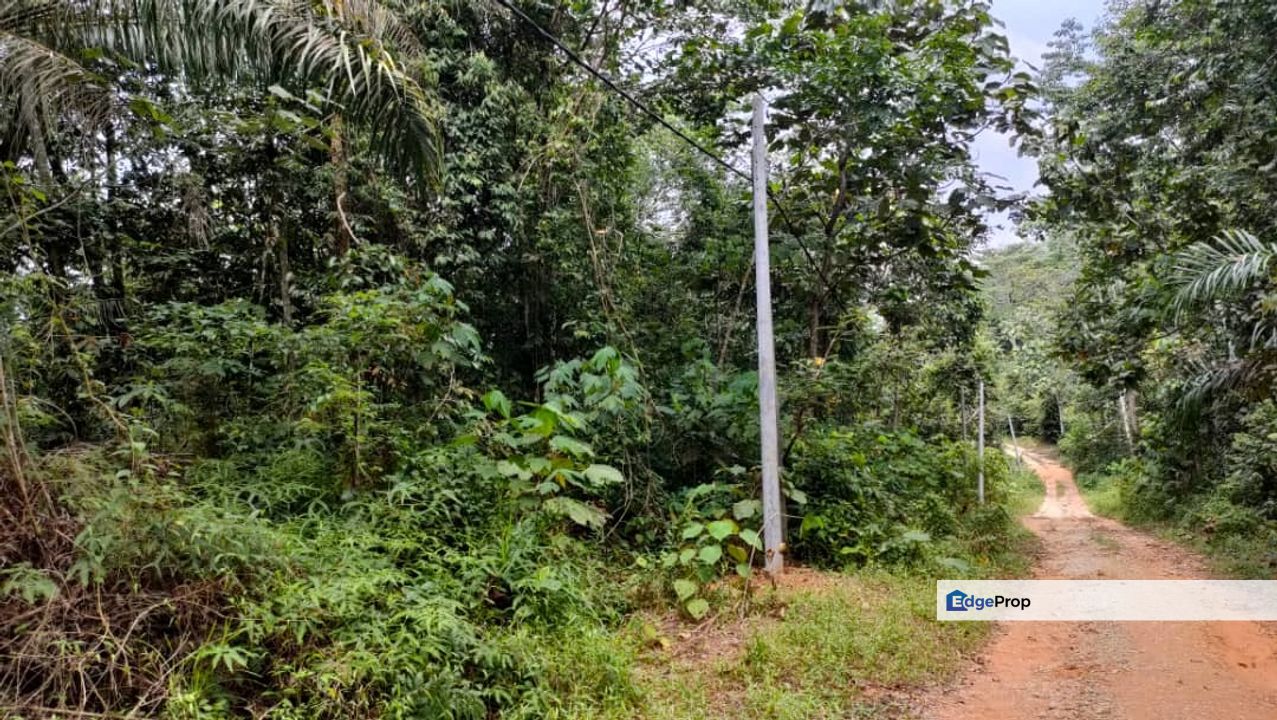 Sg Gumut Kalumpang 6 acre Freehold Non Bumi Lot, Selangor, Hulu Selangor