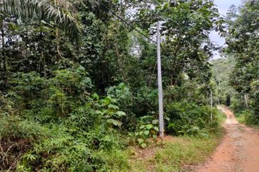 Sg Gumut Kalumpang 6 acre Freehold Non Bumi Lot