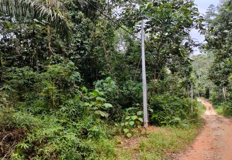 Sg Gumut Kalumpang 6 acre Freehold Non Bumi Lot