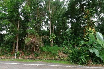 13034 sqft Bungalow Lot Freehold Non Bumi Taman Putra Hills  Gated and Guarded