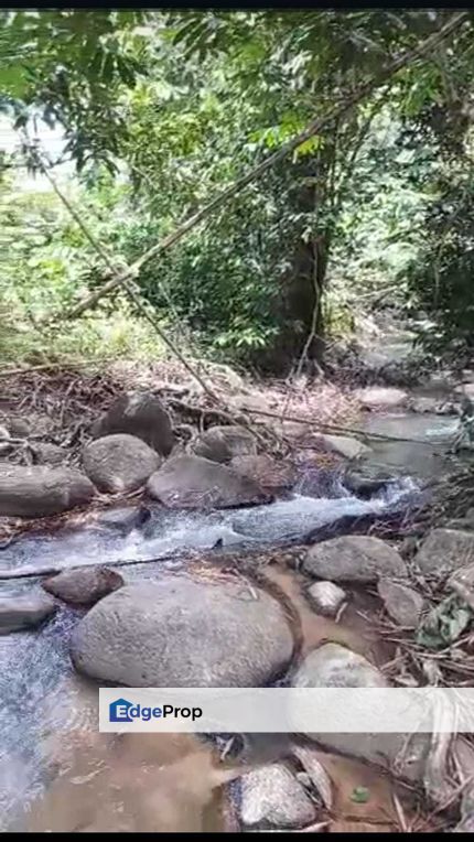 4 ekar Kebun Durian Slim River Halacara Baru Ulu Slim ada Sungai, Perak, Slim River