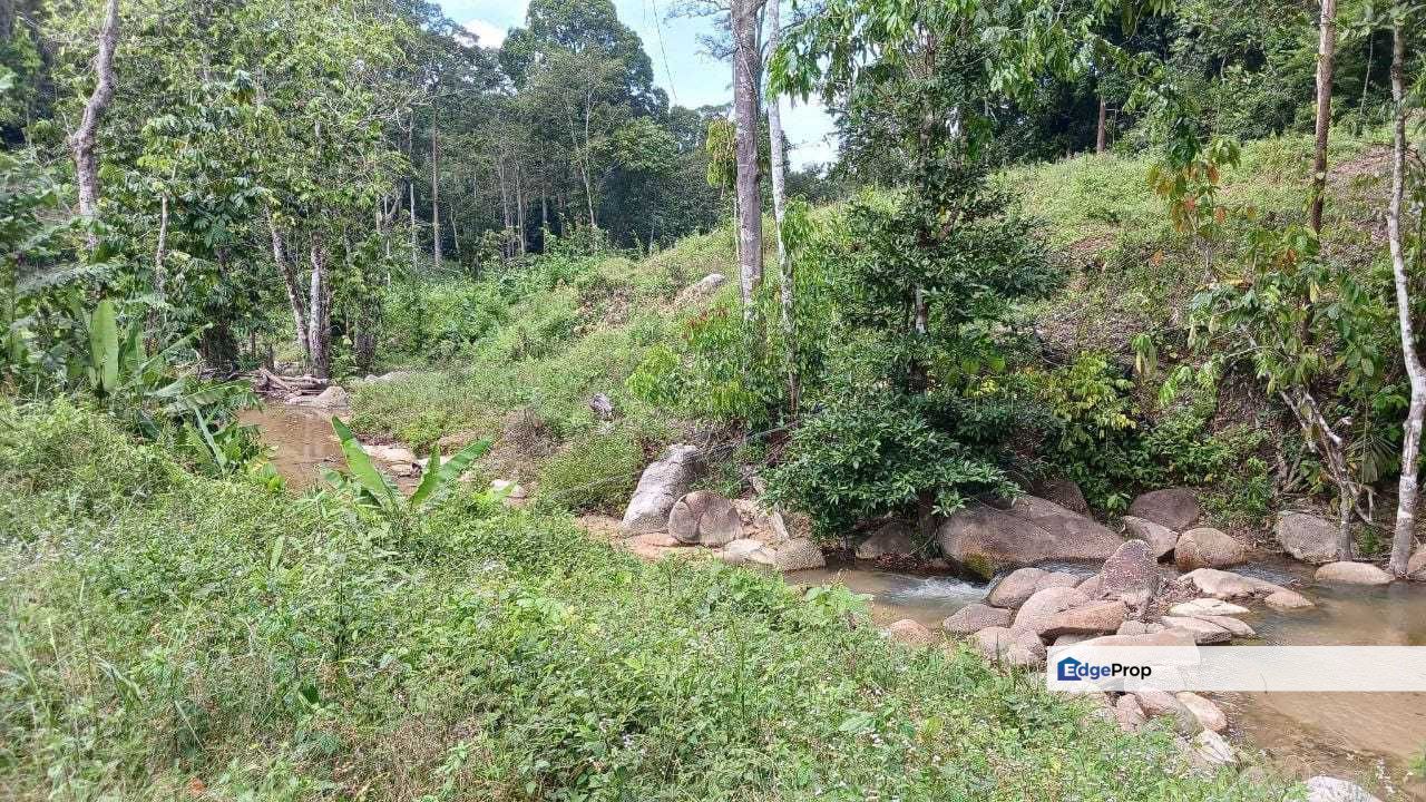 4 ekar Kebun Durian Slim River Halacara Baru Ulu Slim ada Sungai, Perak, Slim River