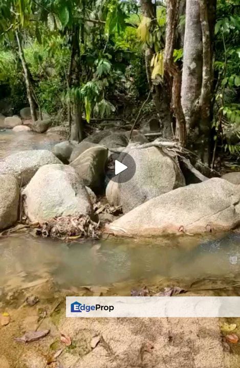 4 ekar Kebun Durian Slim River Halacara Baru Ulu Slim ada Sungai, Perak, Slim River
