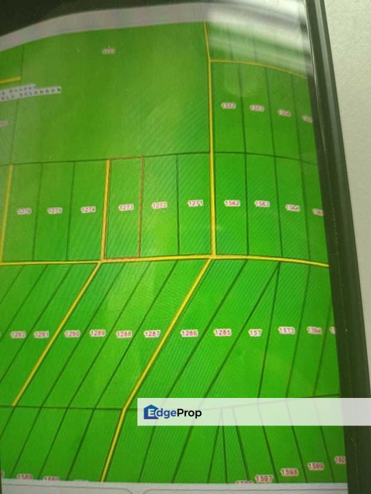 Cheap 6.3 Acre Agri Land Batang Kali Ulu Selangor Freehold NonBumi Lot, Selangor, Batang Kali