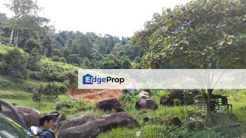 Cheap 4.77 Acre Sungai Inki Kalumpang Non Bumi Lot, Selangor, Hulu Selangor