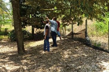 Taman Bentong Makmur