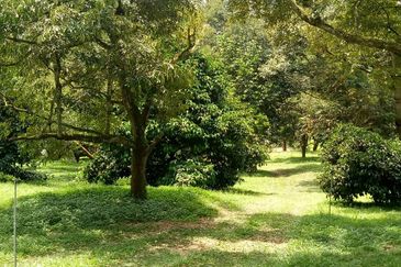 Taman Bentong Makmur