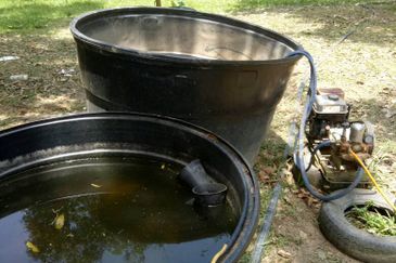 Taman Bentong Makmur