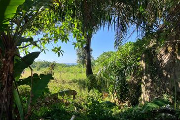 8.3 Acre Agri Land Next to Taman Rasa Utama Freehold Non Bumi Lot