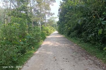 Batang Kali Malay Reservation