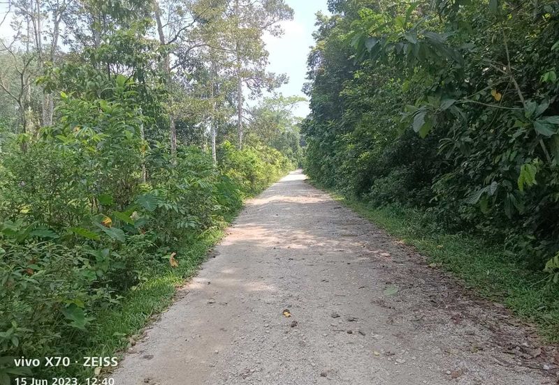 Batang Kali Malay Reservation