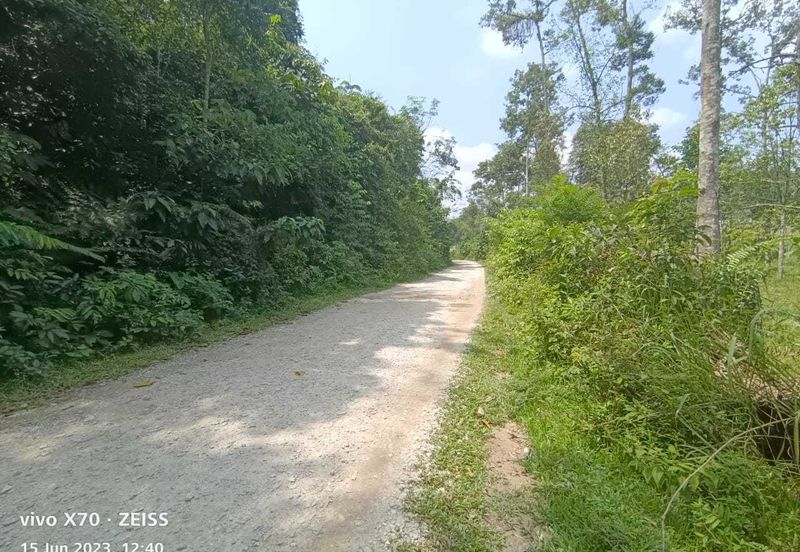 Batang Kali Malay Reservation