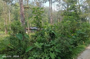 Batang Kali Malay Reservation