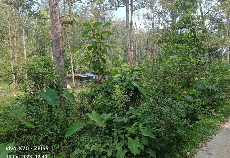 Batang Kali Malay Reservation