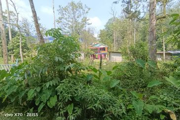 Batang Kali Malay Reservation