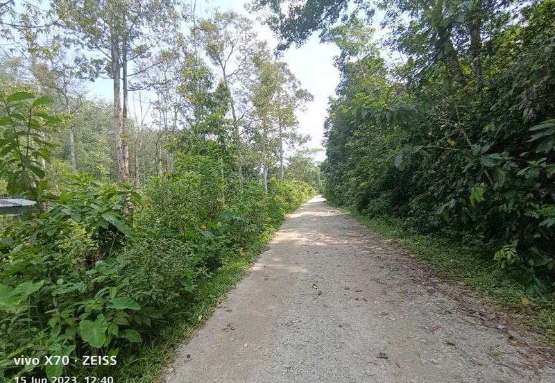 Batang Kali Malay Reservation