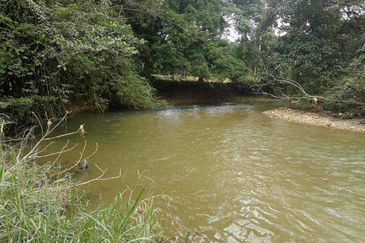 Agri Land ada Sungai Main Hulu Rening Batang Kali 1.79 Ekar