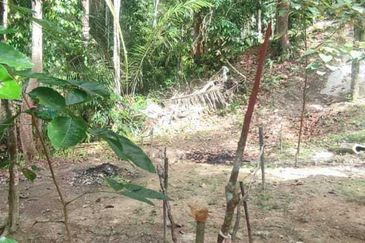 Agri Land ada Sungai Main Hulu Rening Batang Kali 1.79 Ekar