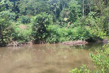 Agri Land ada Sungai Main Hulu Rening Batang Kali 1.79 Ekar