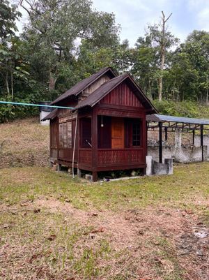 Kebun Durian 1.12 ekar Tepi Jalan Hulu Rening , Batang Kali Bumi Lot ...