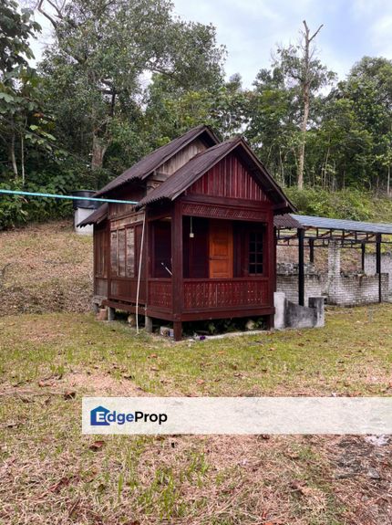 Kebun Durian 1.12 ekar Tepi Jalan Hulu Rening , Batang Kali Bumi Lot, Selangor, Batang Kali